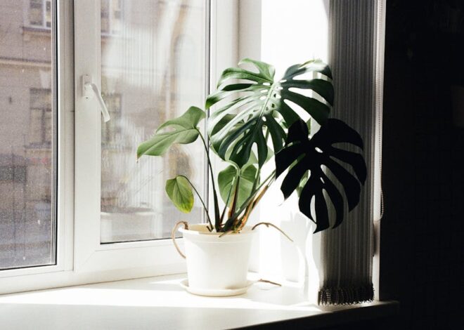 Luftreiniger in der Wohnung richtig auswählen: CADR, Filter, Lautstärke, Aufstellung und echte Kosten